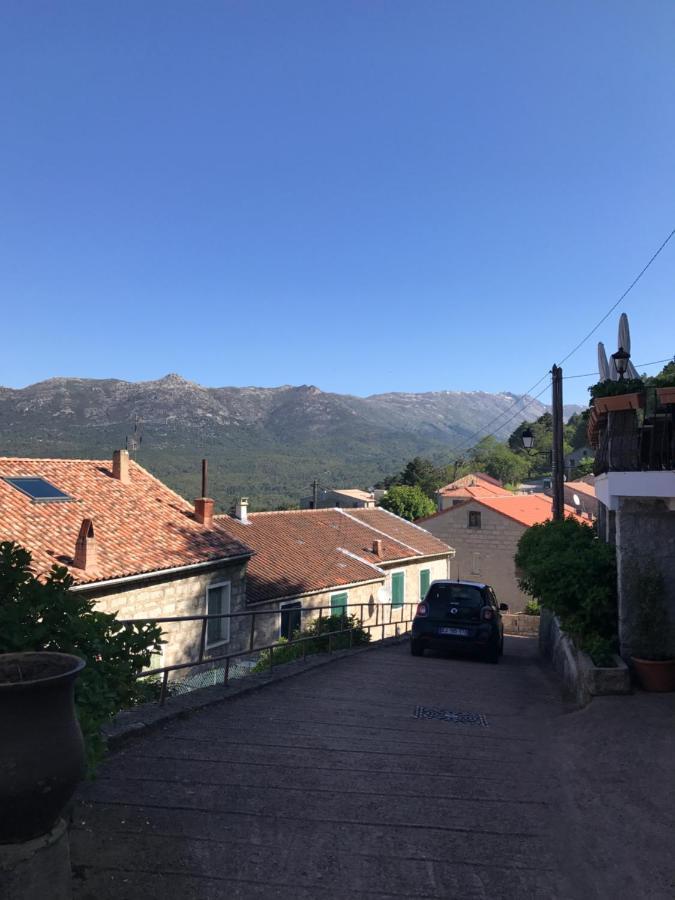 Hotel La Terrasse Zonza Zewnętrze zdjęcie